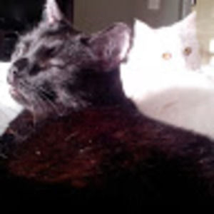 Meet your Posher, Linda